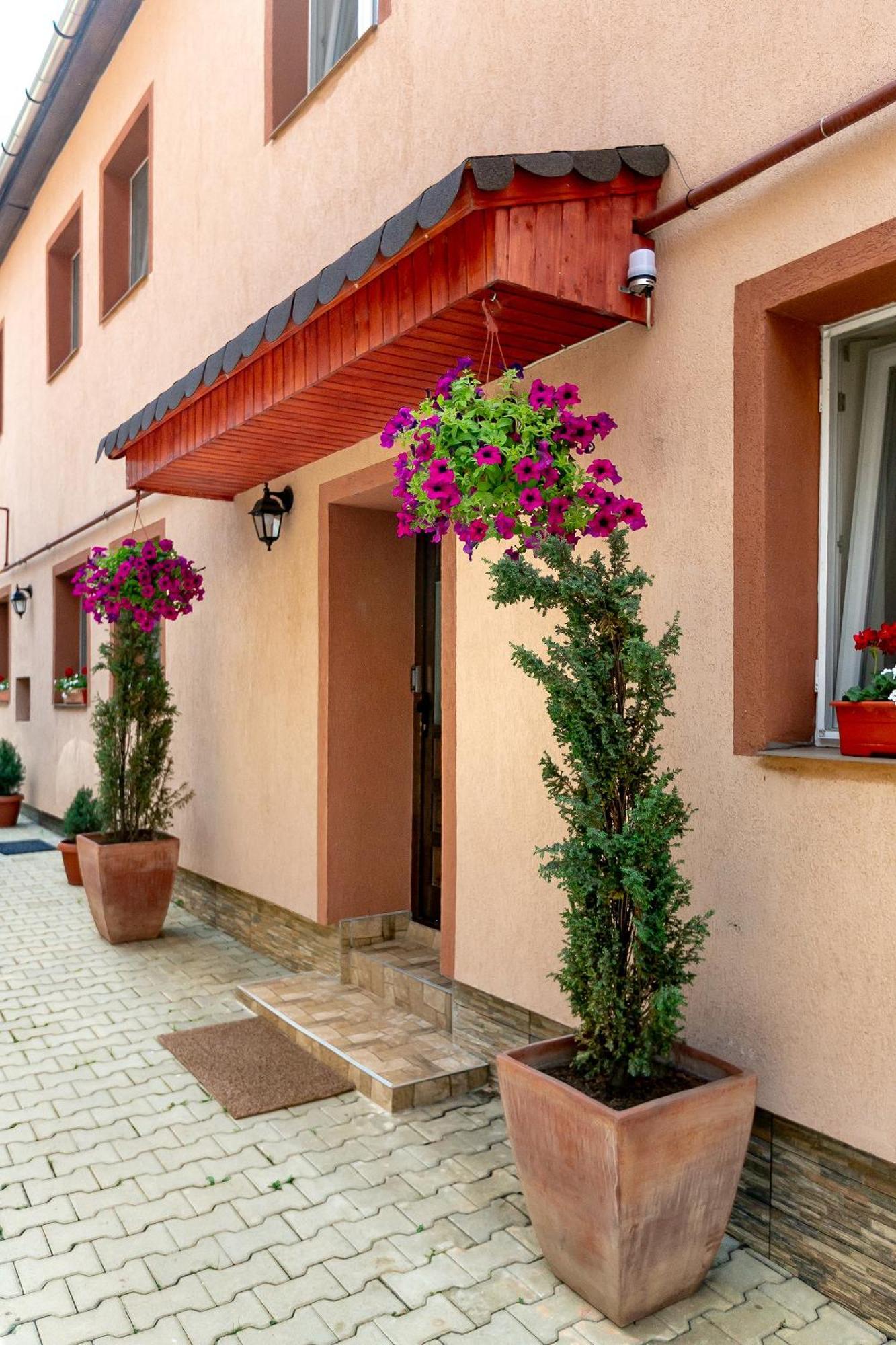 Smart Apartments Сигишоара Экстерьер фото